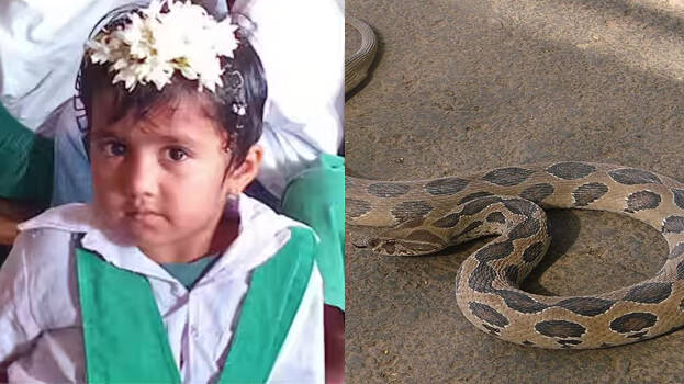 snakebite.1.3072586.jpg