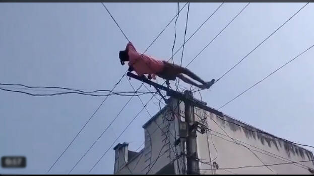 video.1.3072562.jpg