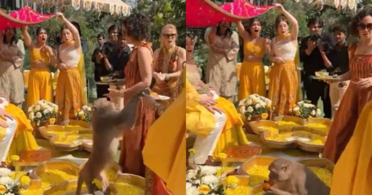 ഞെട്ടിയോ? ആ ഞെട്ടി; ആരുടേയും കണ്ണിൽ പെടാതെ അകത്തേക്ക്, ഒറ്റനിമിഷം കൊണ്ട് ലഡുവും