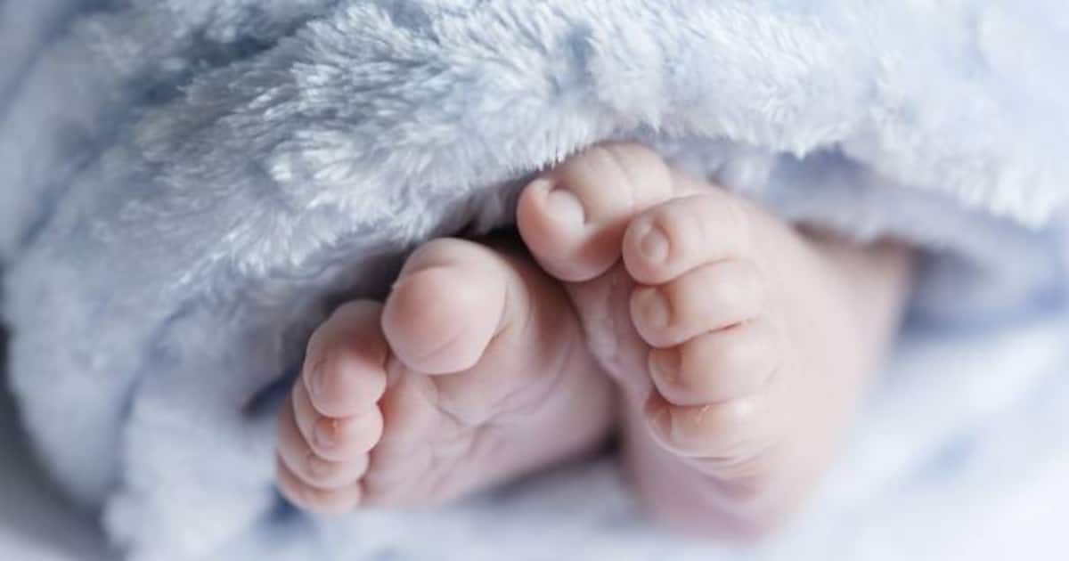 പിതൃത്വ അവധി നിഷേധിച്ചു; എട്ട് കോടിയുടെ ജോലി ഉപേക്ഷിച്ച് യുഎസ് അഭിഭാഷകൻ 