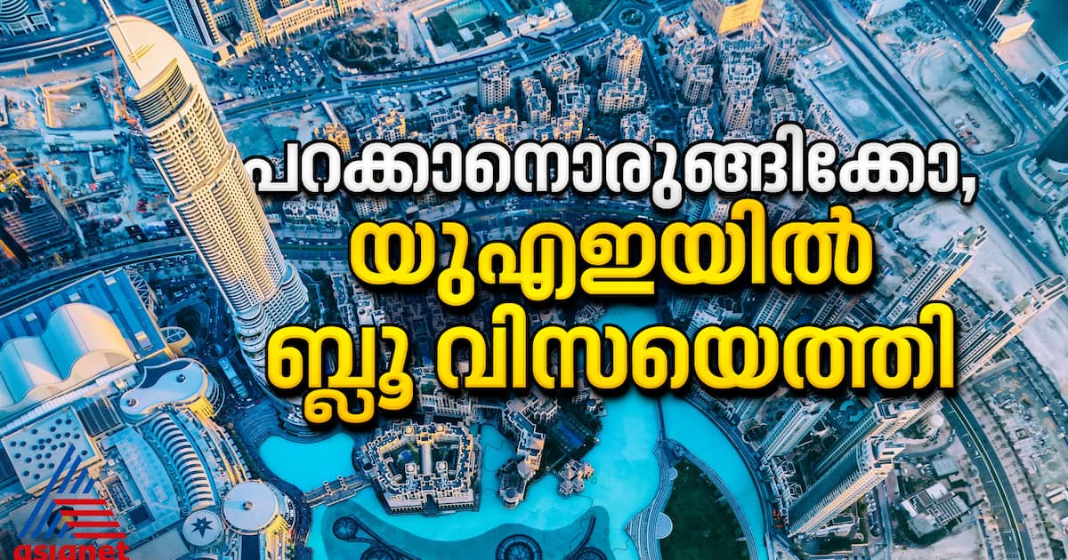 യുഎഇ ദീര്‍ഘകാല താമസാനുമതിയായ ബ്ലൂ റസിഡൻസി വിസ പ്രാബല്യത്തില്‍