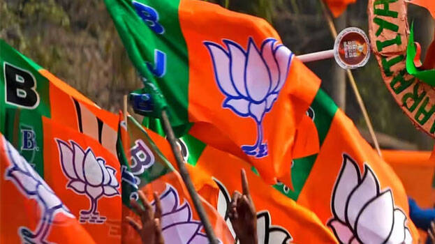 bjp.1.3141840.jpg