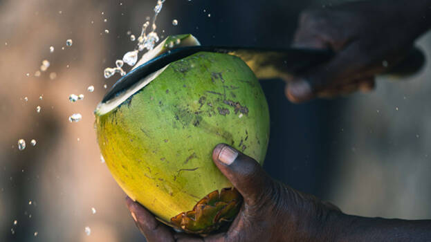 coconut-water.1.3129604.jpg