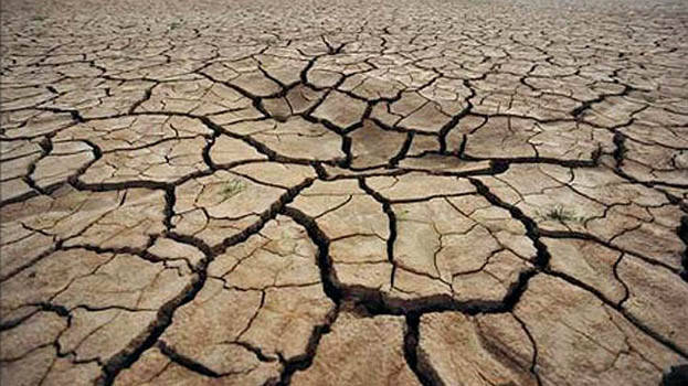 dry.1.3154561.jpg