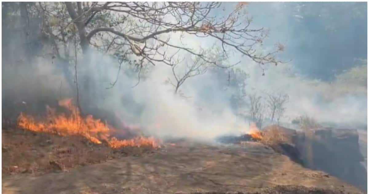 മലയിലെ അടിക്കാടുകള്‍ക്കും പുല്ലിനും തീ പിടിച്ചു; രണ്ട് യൂണിറ്റ് അഗ്‌നിശമന സേന എത്തിയത്