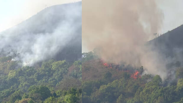 fire.1.3143764.jpg