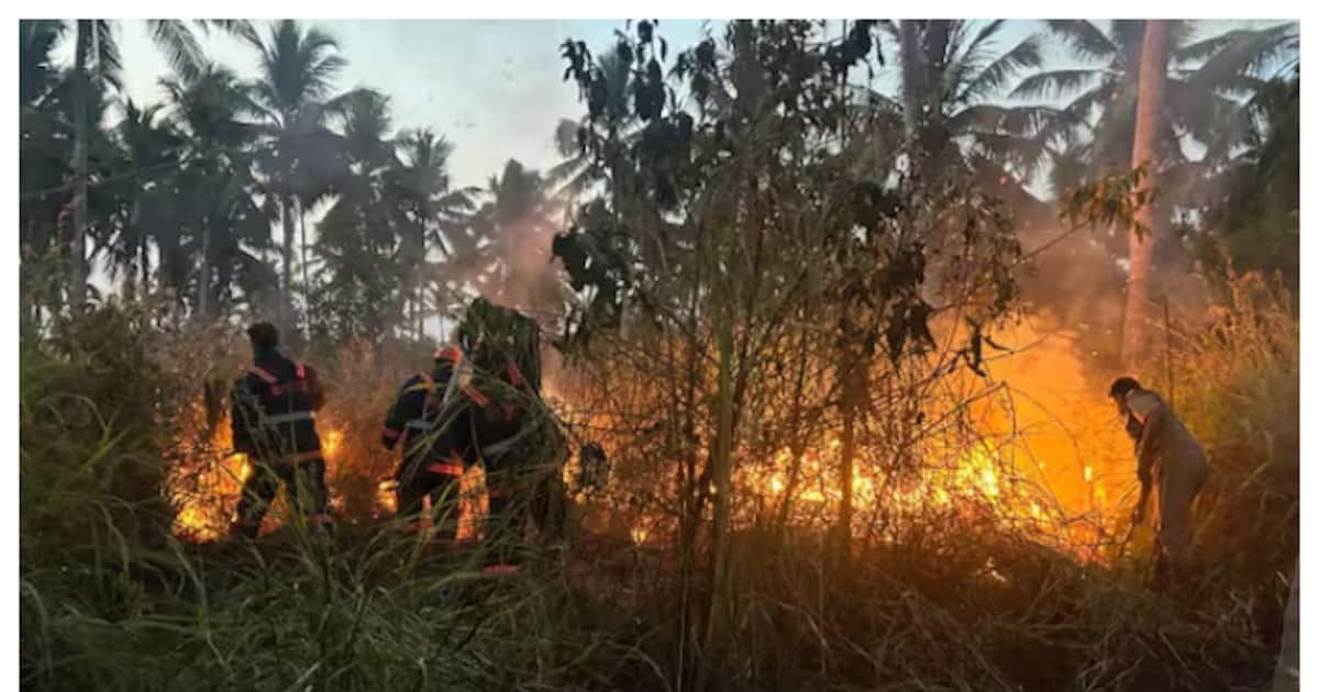 വേനൽച്ചൂടേറുന്നു, തലസ്ഥാനത്ത് ഒന്നരമാസത്തിനിടെ ഫയർഫോഴ്സ് തീയണച്ചത് 400 സ്ഥലങ്ങളിൽ
