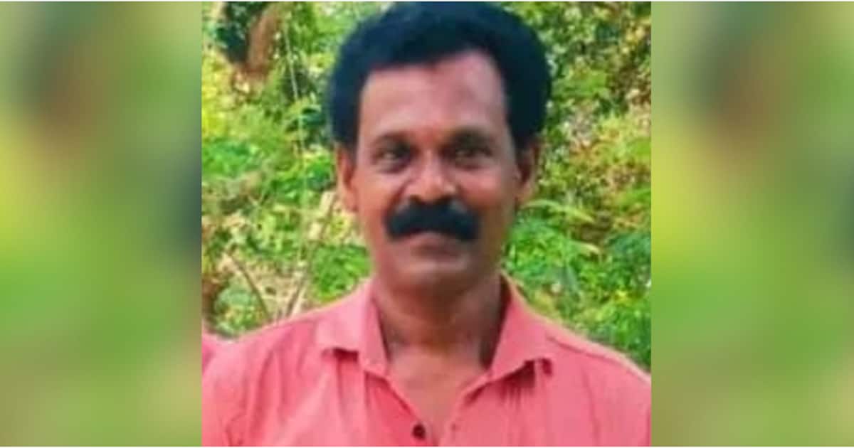 കോട്ടയത്ത് പ്ലാവിൽ ചക്കയിടാൻ കയറിയ മധ്യവയസ്കൻ പ്ലാവിൽ നിന്ന് വീണ് മരിച്ചു