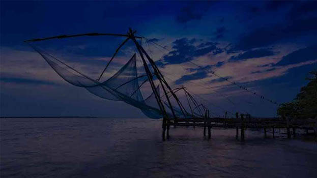 kochi.1.3143358.jpg