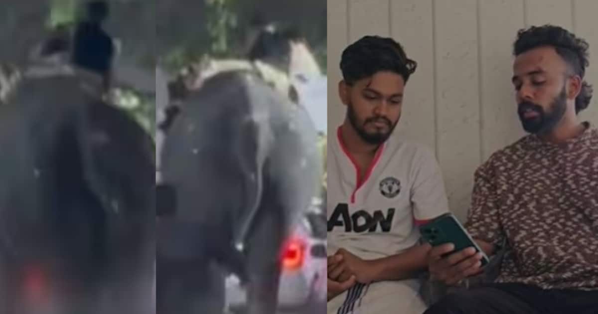 കൂറ്റനാട് ഇടഞ്ഞ ആനയുടെ മുകളിൽ നിന്ന് അസ്കർ വീണത് കൊമ്പിൽ തലയിടിച്ച് ആനയുടെ