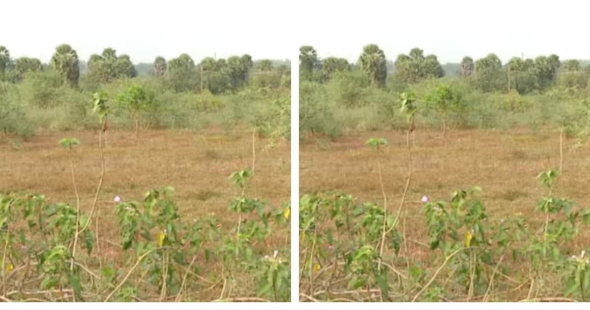 ബ്രൂവറി: 'മദ്യനിർമാണശാലകൾക്ക് അനുമതി നൽകുന്നത് ലഹരിമാഫിയയെ പാലൂട്ടുന്നതിന് തുല്യം'; ഓർത്തഡോക്സ് സഭ