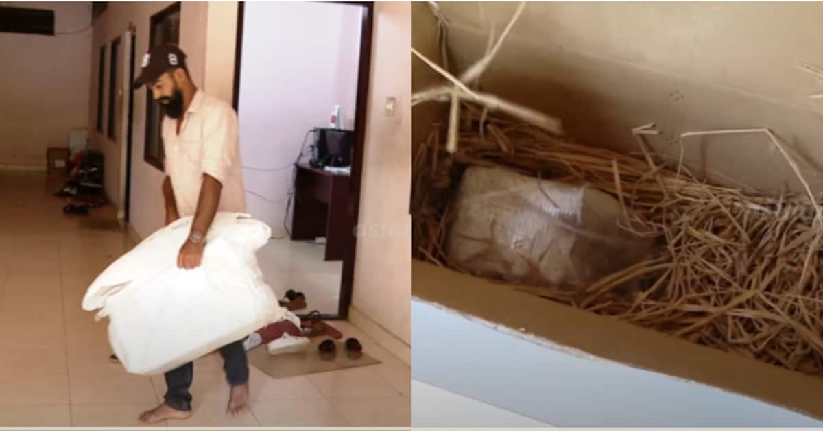 എന്തൊരു തട്ടിപ്പ്! ഓര്‍ഡർ ചെയ്തത് മരംമുറിക്കുന്ന യന്ത്രം, കിട്ടിയത് വൈക്കോലില്‍ പൊതിഞ്ഞ സിമന്‍റ്