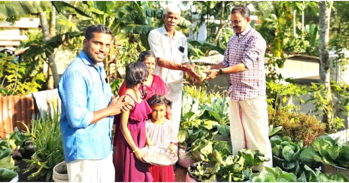 പുരപ്പുറം പച്ചക്കറിത്തോട്ടമാക്കി വീട്ടമ്മ; ശീതകാല കൃഷിയിൽ നൂറുമേനി വിളവ്