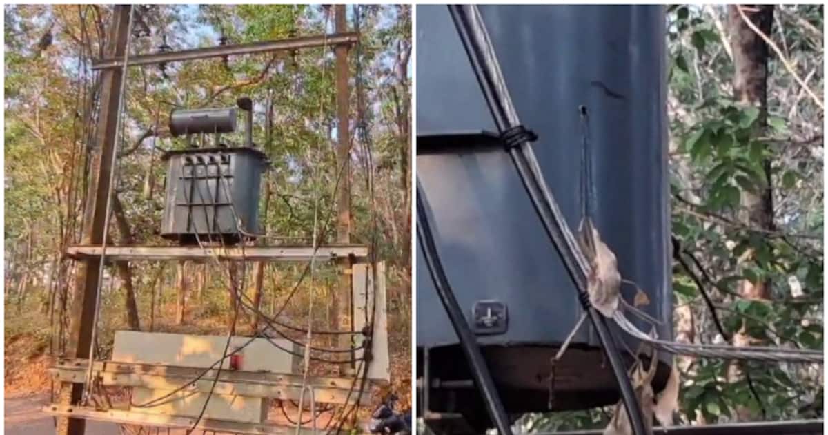 ഉന്നം ലേശം പാളി! കാട്ടുപന്നിക്കിട്ട് വച്ചത് കൊണ്ടത് ട്രാൻസ്ഫോർമറിന്, നഷ്ടം പഞ്ചായത്ത് നികത്തണമെന്ന്