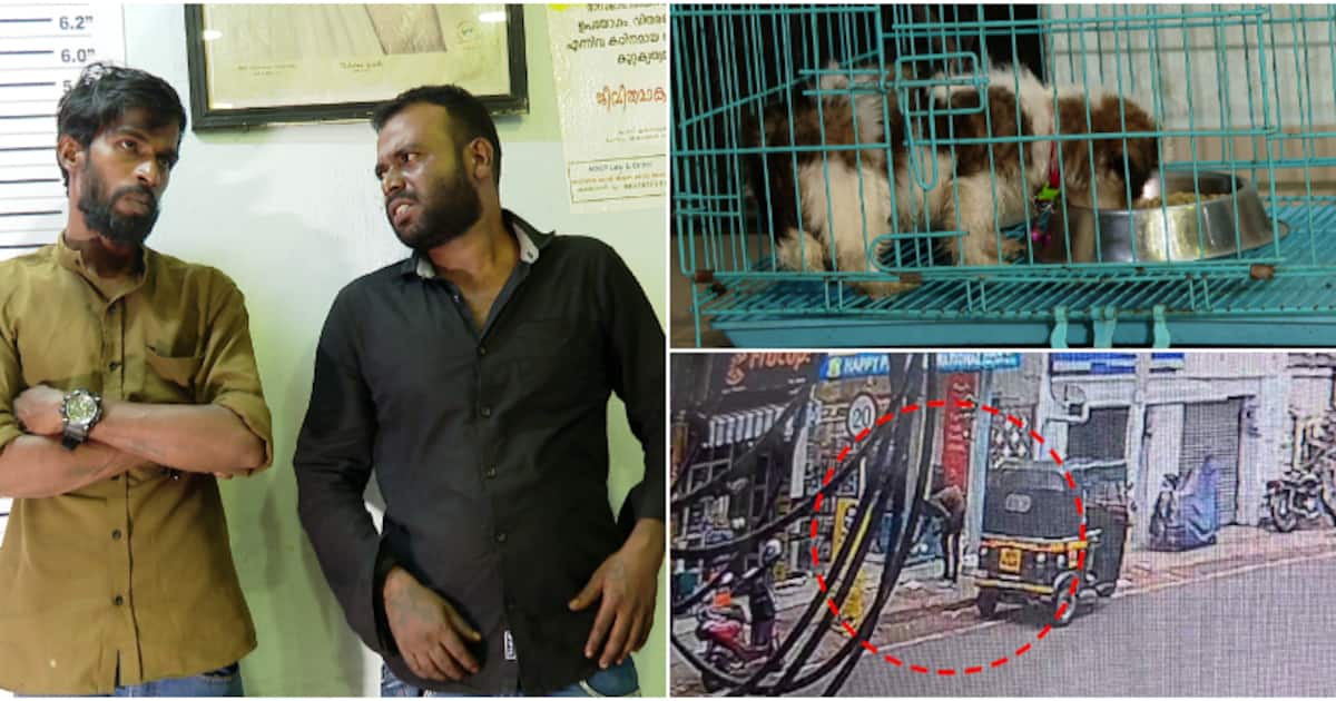 കടയിൽ ചെന്ന് പട്ടിക്കുട്ടികളുടെ വിലചോദിച്ചു; ജീവനക്കാർ പോയപ്പോൾ മോഷണം, തലസ്ഥാനത്ത് ഗുണ്ടകള്‍ അറസ്റ്റിൽ