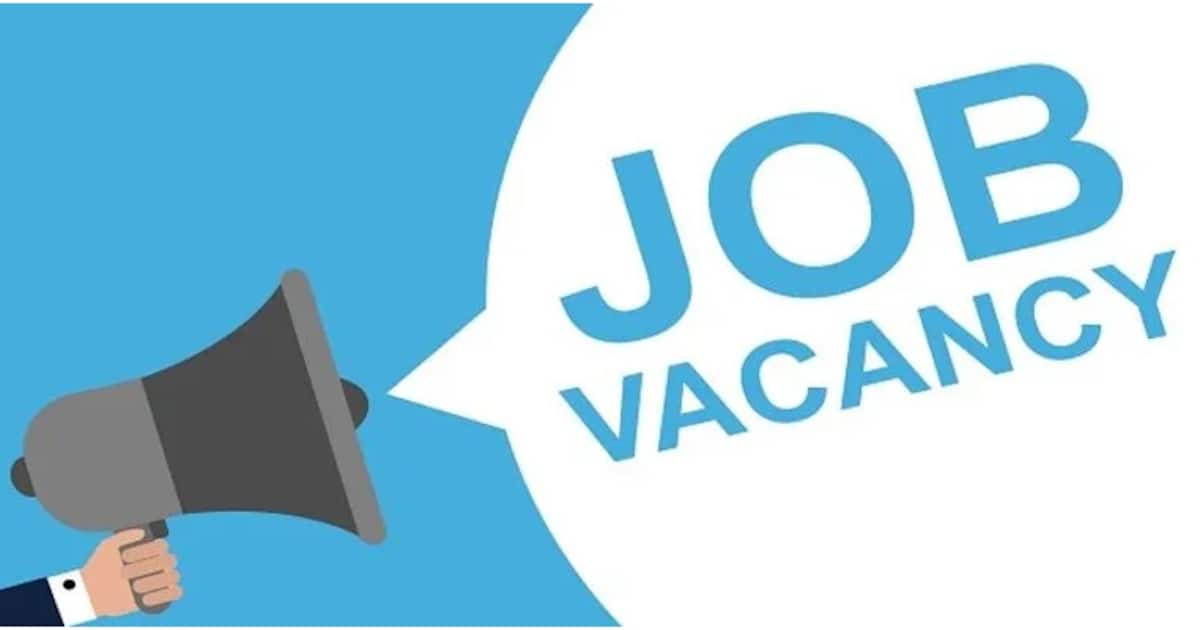 1742678739_job-vacancy-2-_1200x630xt.jpg