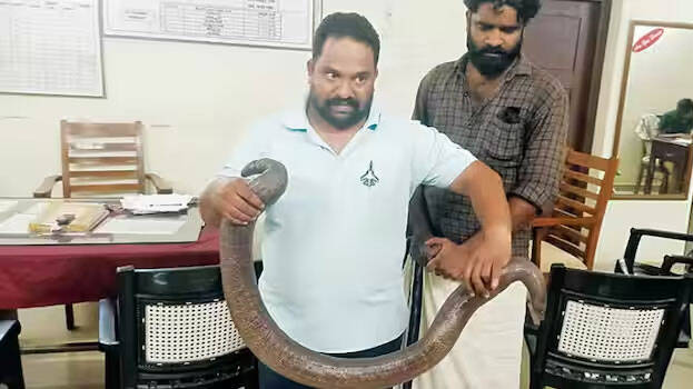 abhilash.1.3184286.jpg