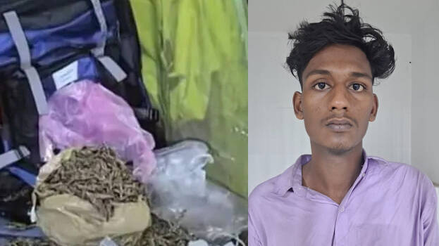 anuraj.1.3187153.jpg