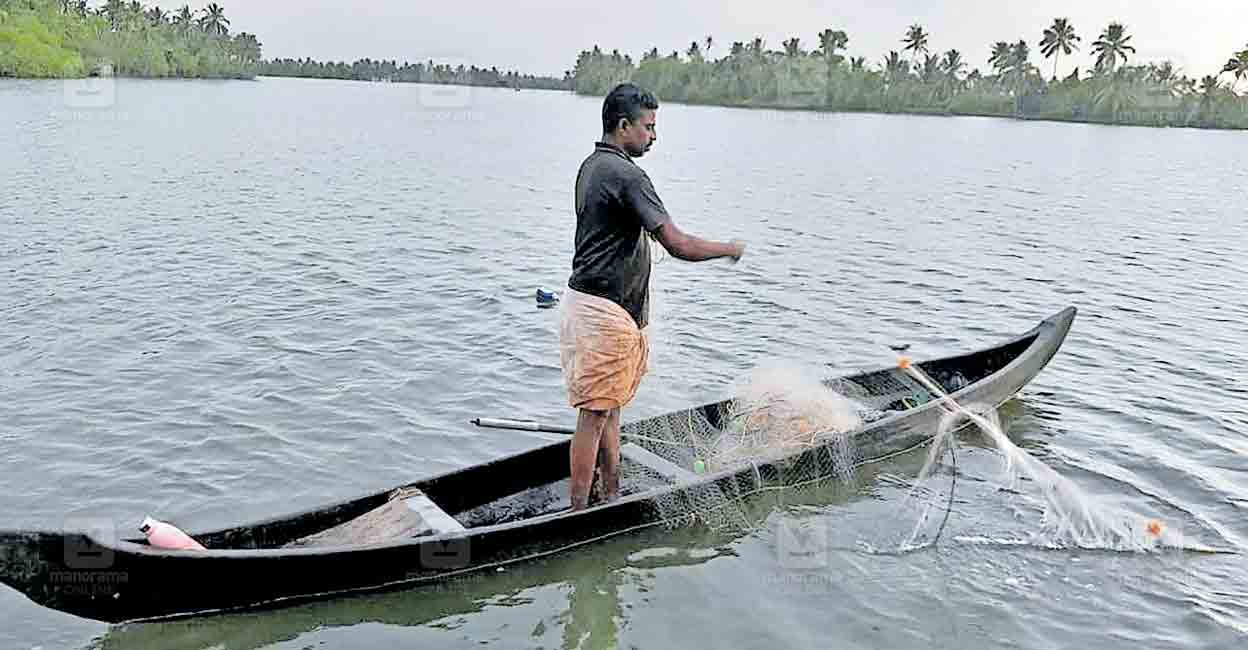 aroor-fish-scarcity.jpg