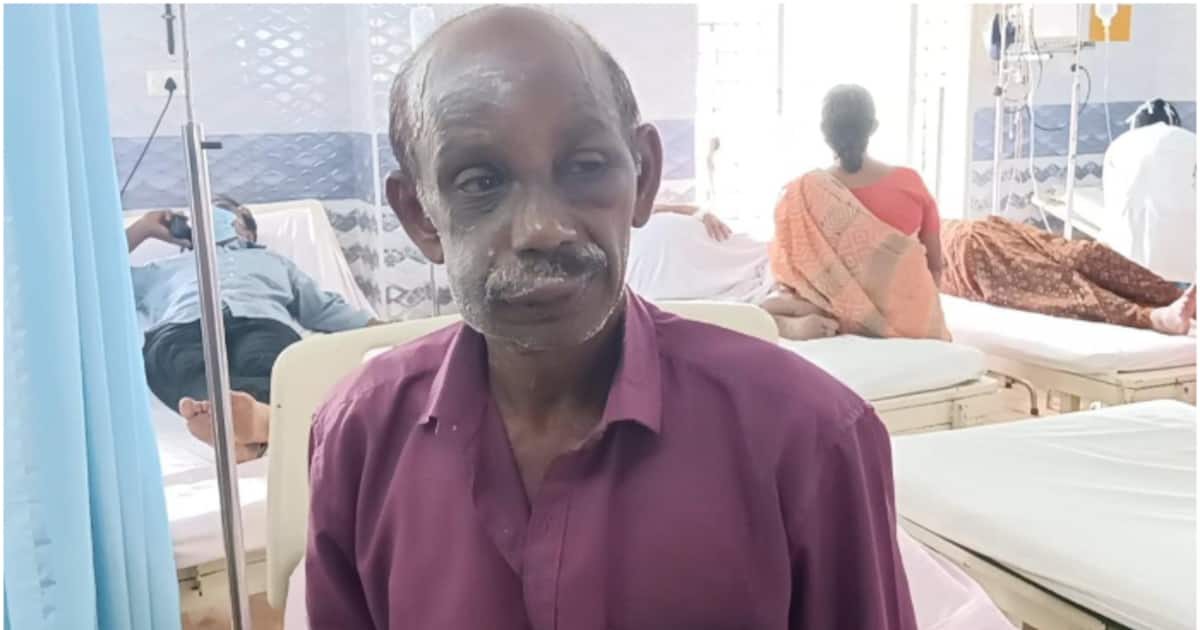 തേനീച്ചക്കൂട്ടിൽ വന്നിടിച്ചത് പരുന്ത്, പണി കിട്ടിയത് പെൻഷൻ വാങ്ങാനെത്തിയ പാവങ്ങൾക്ക്; ഏഴോളം പേരെ
