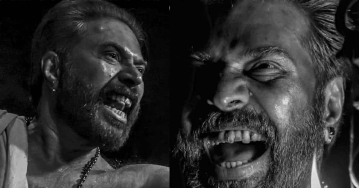 ചരിത്രം കുറിച്ച 50 കോടി, കൊടുമൺ പോറ്റിയായി നിറഞ്ഞാടിയ മമ്മൂട്ടി; 'ചാത്തന്റെ' കളി