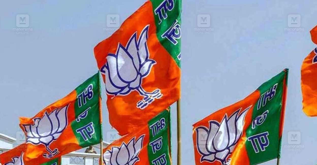 bjp-flag.jpg
