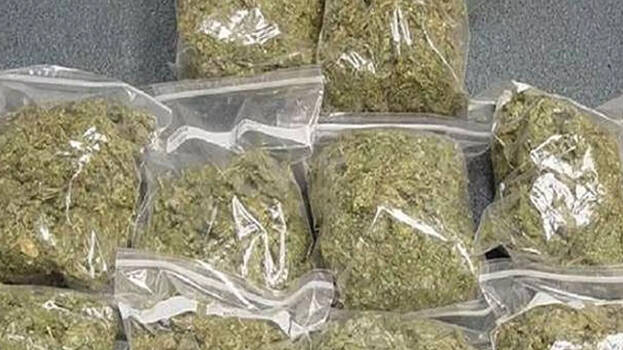 cannabis.1.3175081.jpg