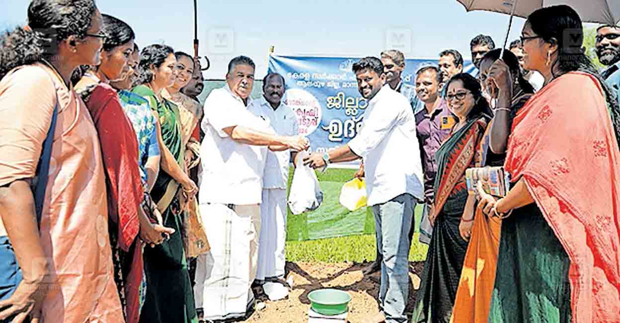 chenganur-fish-farming-1.jpg