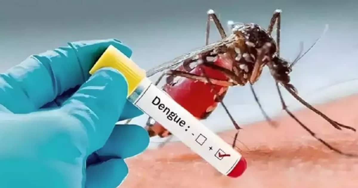 dengue_1200x630xt.jpg