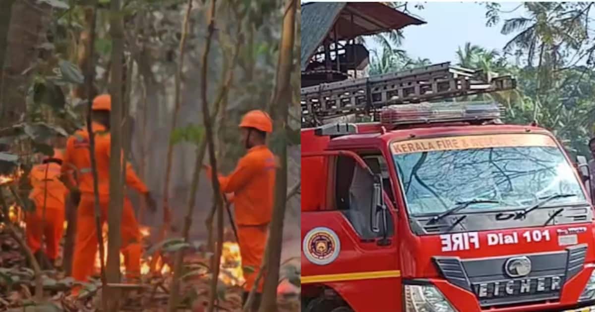 മൂക്കുന്നിമലയിൽ തീപിടിത്തം, ഏക്കറുകണക്കിന് കാട് കത്തിയമർന്നു; സാമൂഹ്യവിരുദ്ധർ കത്തിച്ചതാവാമെന്ന് ഫയർഫോഴ്സ്