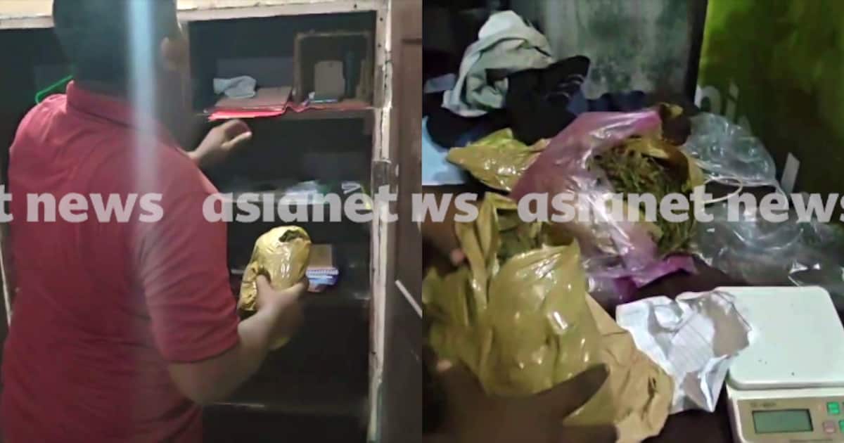 കളമശേരി പോളിടെക്നിക്ക് ഹോസ്റ്റലിൽ പ്രത്യേക 'ഗ്യാങ്'; വലിക്കുന്നത് കഞ്ചാവ് ബീഡി, നടക്കുന്നത് കൂട്ടുകച്ചവടം