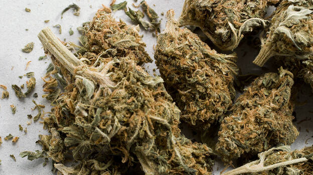 ganja.1.3185645.jpg