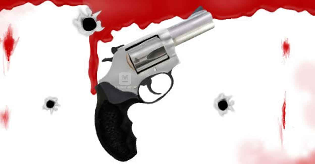 gun-shoot.jpg