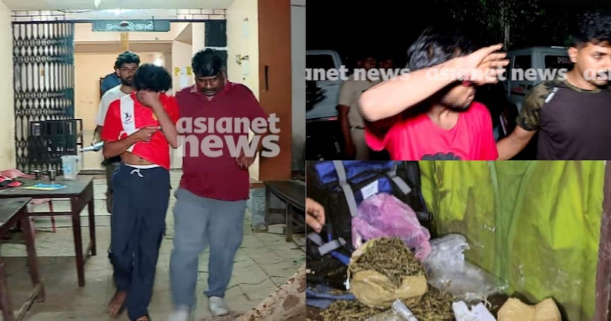 കളമശ്ശേരി പോളി ടെക്‌നികിലെ കഞ്ചാവ് വേട്ട; കൂടുതൽ പ്രതികൾ അറസ്റ്റിലായേക്കും, അന്വേഷണം പൂർവ