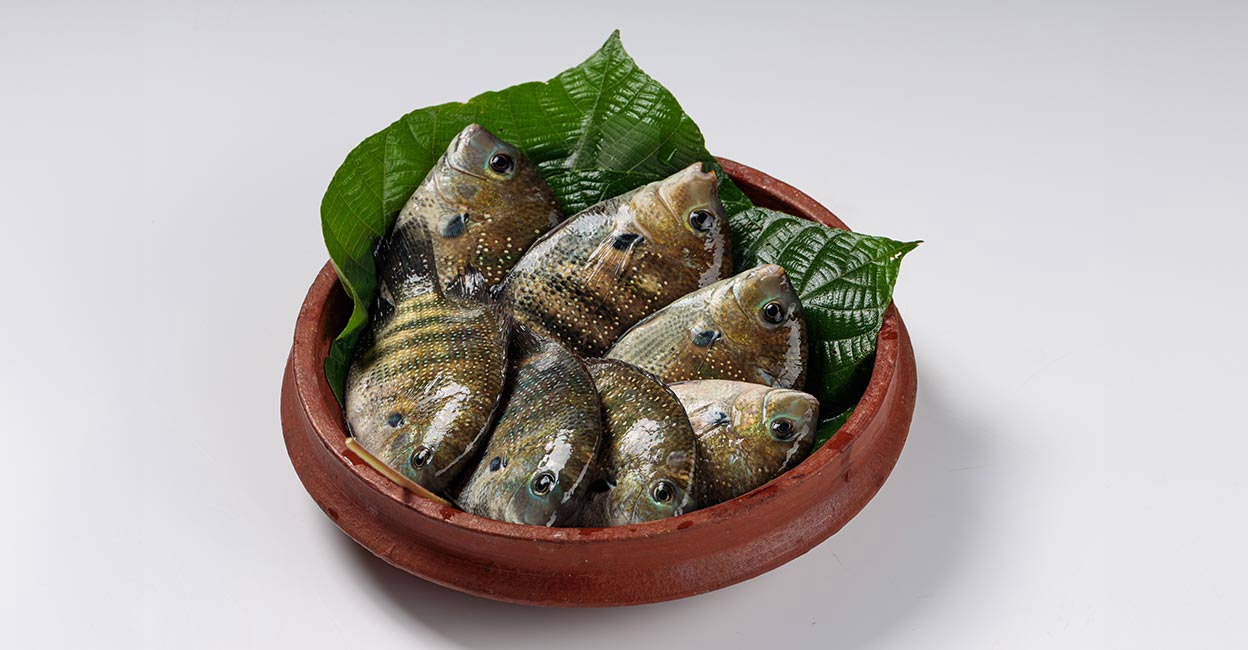 karimeen.jpg