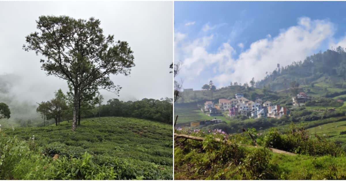 ഊട്ടി ഒന്ന് മാറ്റിപ്പിടിച്ചാലോ? തൊട്ടടുത്തുണ്ട് സൂര്യൻ വൈകി ഉദിക്കുന്ന, മഞ്ഞ് പെയ്യുന്ന ഒരു