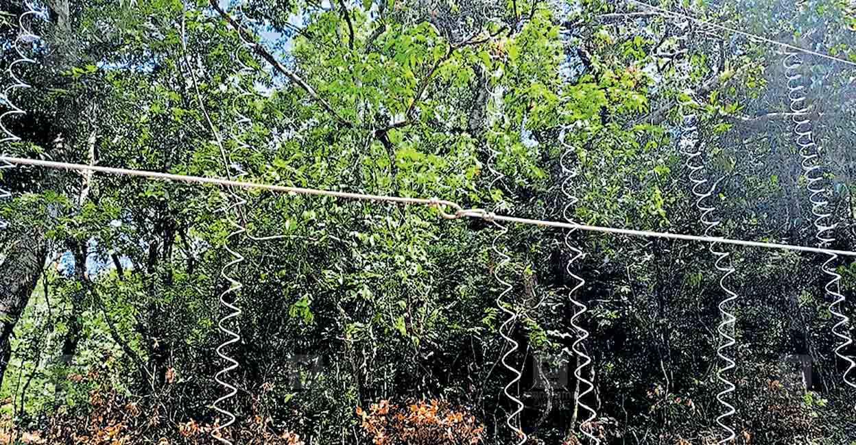 kumaly-electric-field.jpg