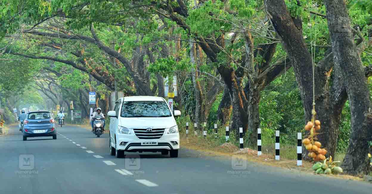 kumarakom-road.jpg