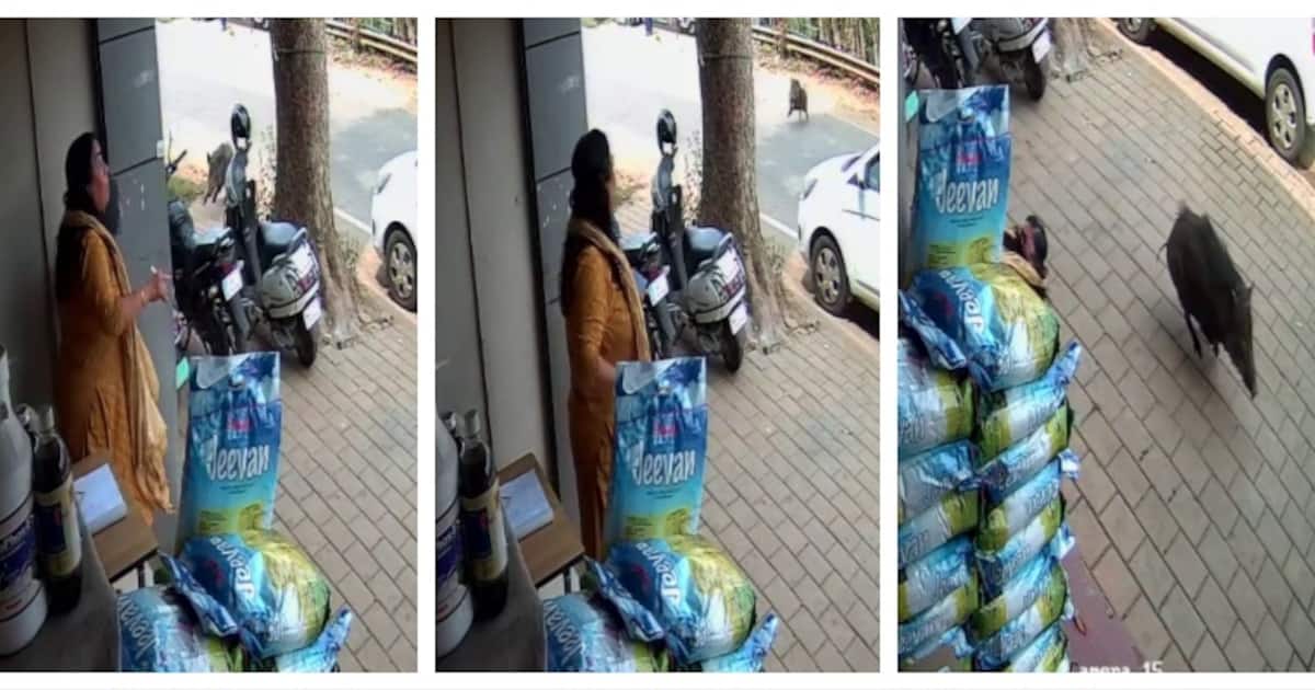 കടയിലേക്ക് കയറാതിരിക്കാൻ ഷട്ടറിട്ടു; വഴുതിവീണ് യുവതിക്ക് പരിക്ക്, തലയിൽ 6 സ്റ്റിച്ച്, വയനാട്ടില്