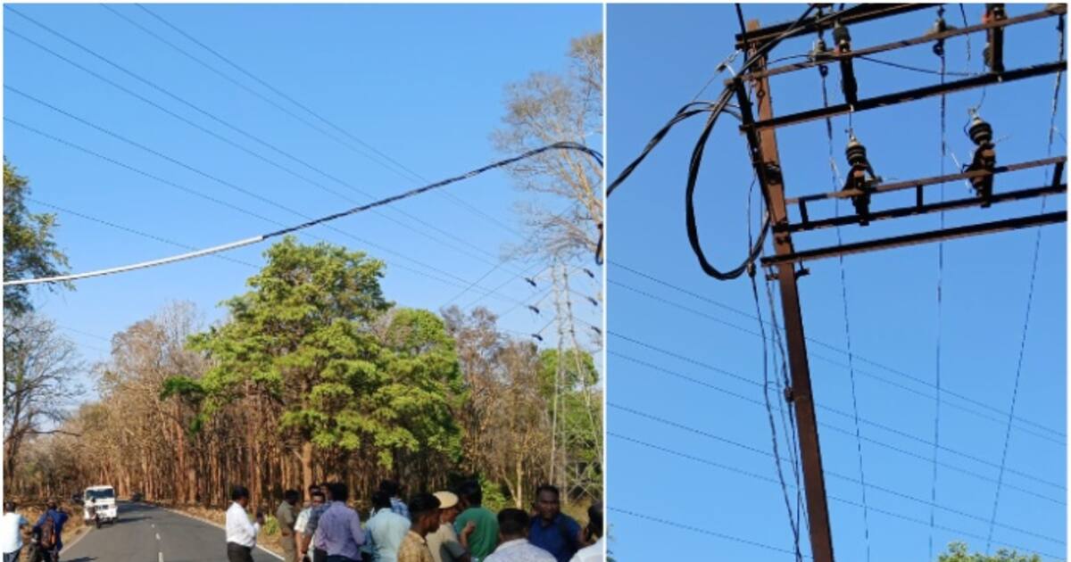 mudumalai-electricity-cable_1200x630xt.jpg