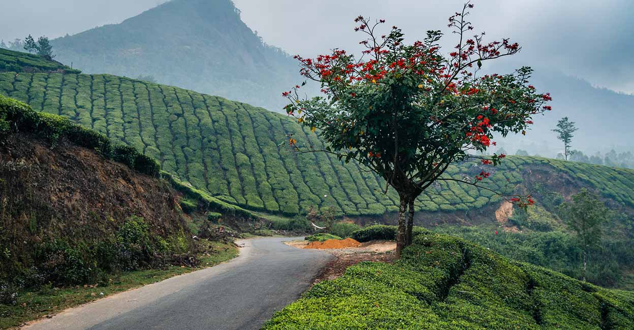 munnar-road.jpg