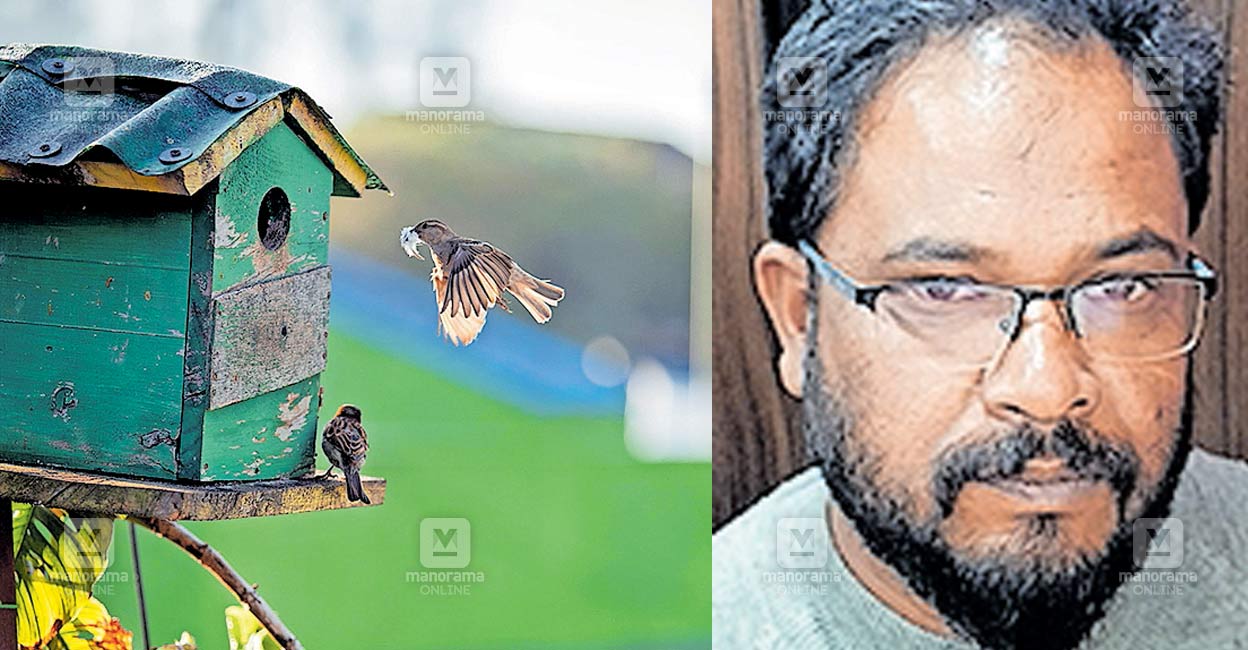 palakkad-sparrow-day.jpg