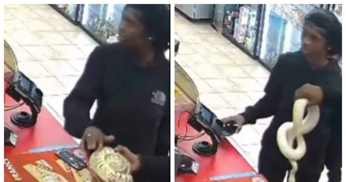 robbery-attempt-to-using-python-in-us_1200x630xt.jpg