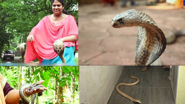 sangeetha.1.3182621.jpg