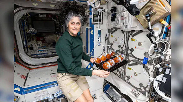sunita-williams.1.3185980.jpg