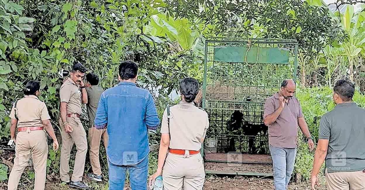 thrissur-cage.jpg