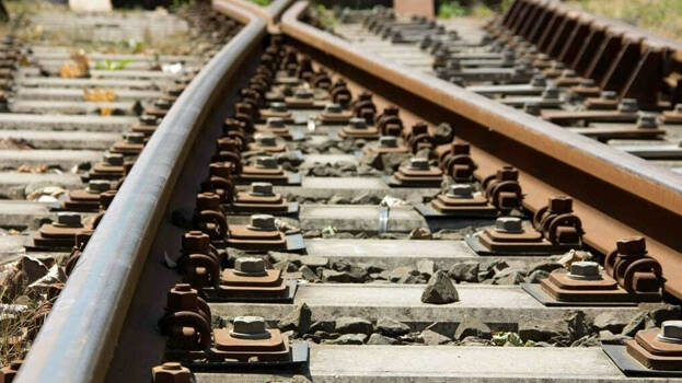 train.1.3178323.jpg