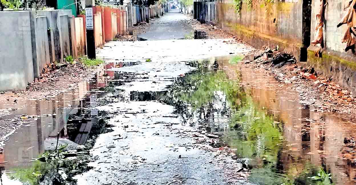vkb-road-ettumanoor.jpg