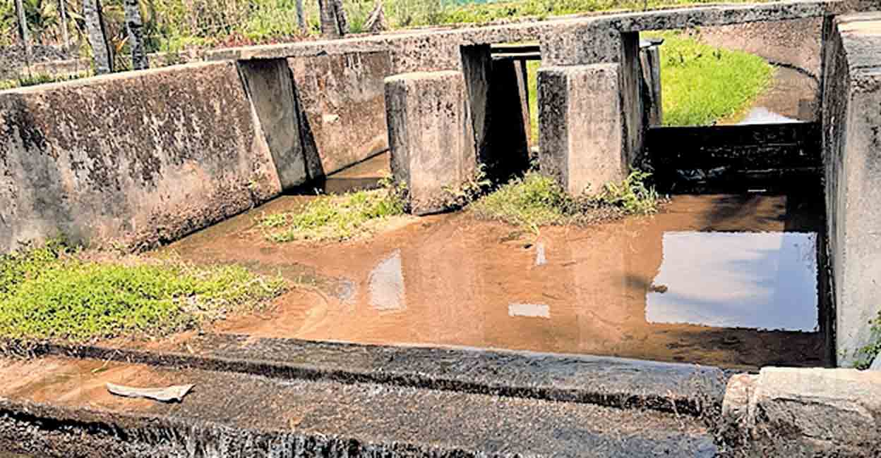 wayanad-bund.jpg