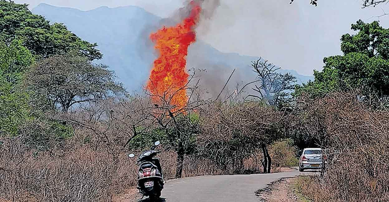 wild-fire.jpg